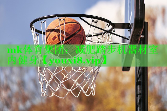 mk体育集团：减肥踏步机器材室内健身