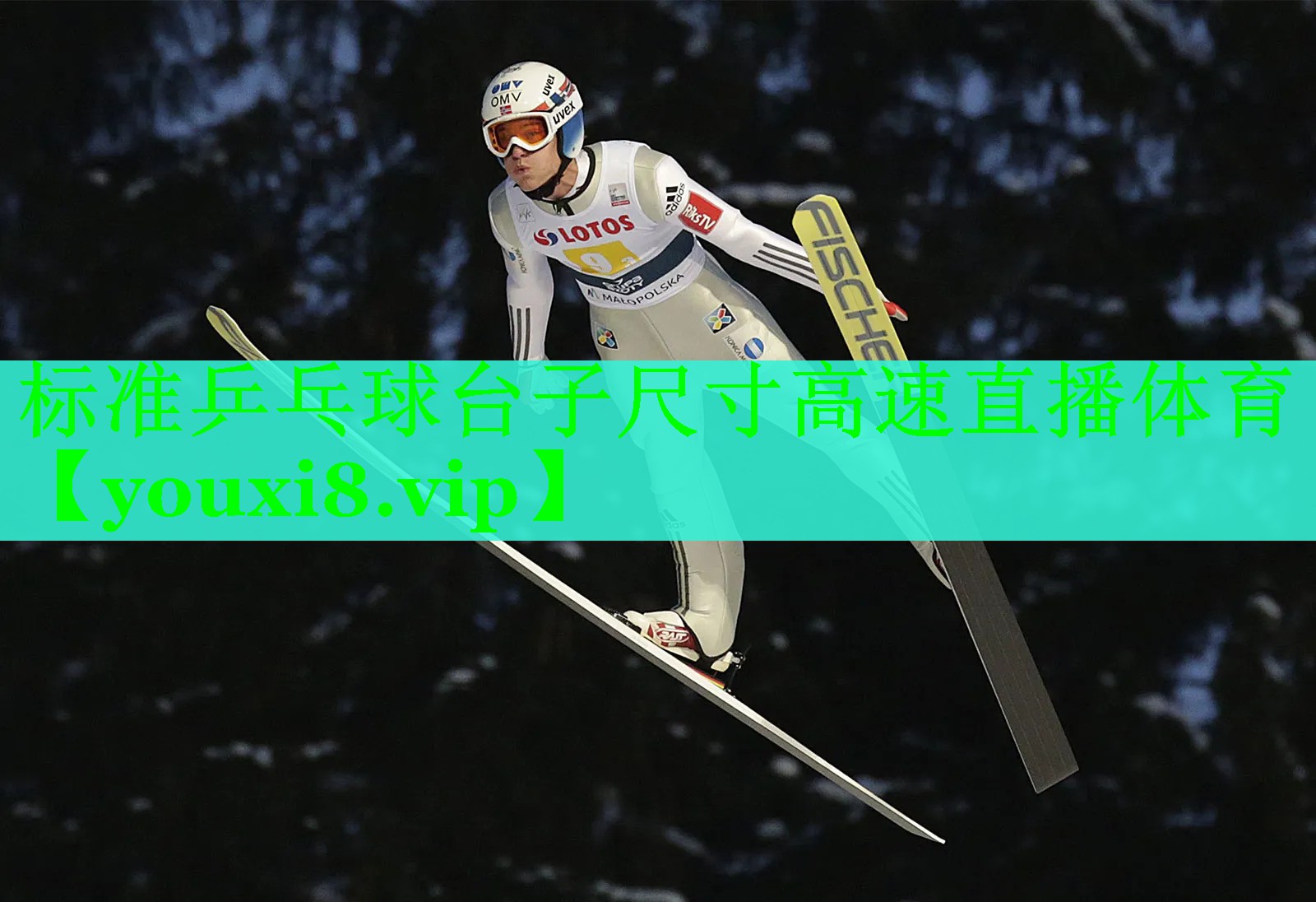 标准乒乓球台子尺寸高速直播体育