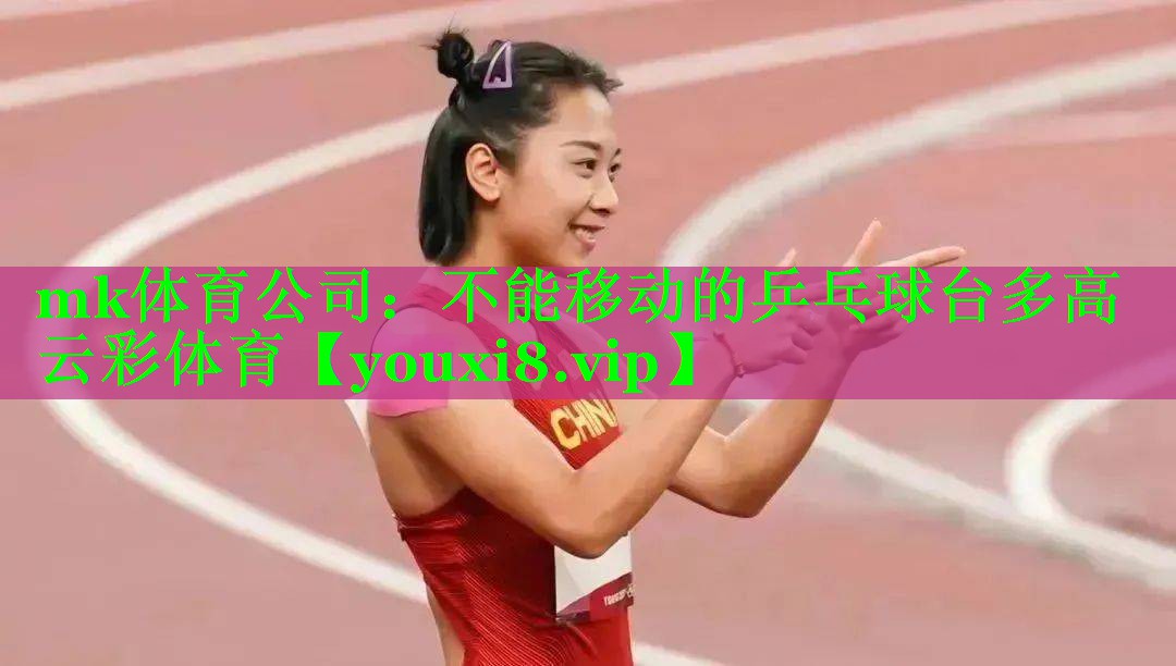 mk体育公司：不能移动的乒乓球台多高云彩体育