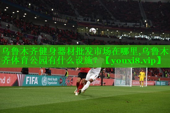 乌鲁木齐健身器材批发市场在哪里,乌鲁木齐体育公园有什么设施？