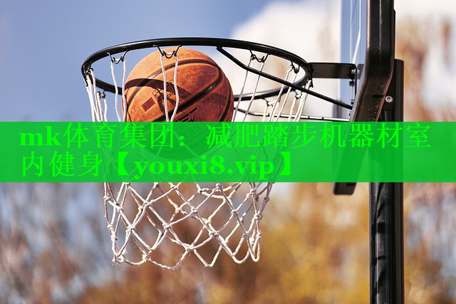 减肥踏步机器材室内健身