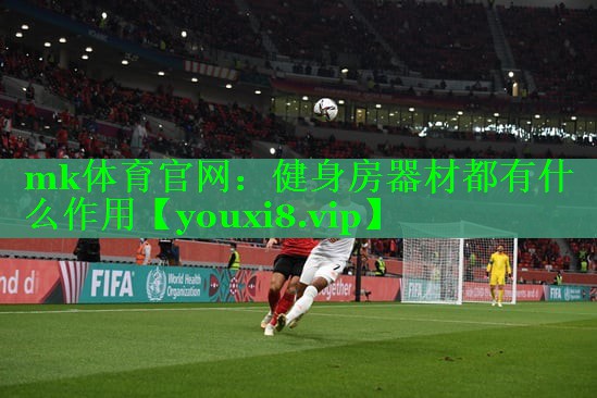 健身房器材都有什么作用