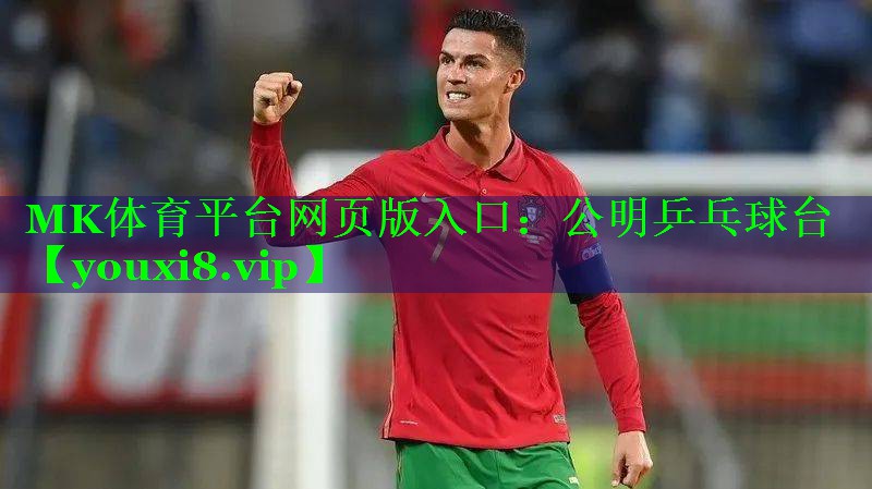 公明乒乓球台