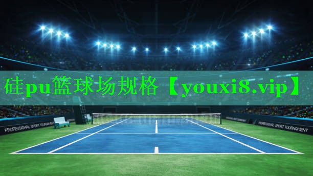 硅pu篮球场规格