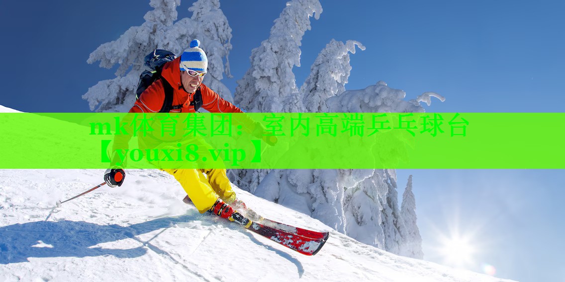 mk体育集团：室内高端乒乓球台