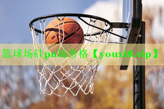篮球场硅pu场价格