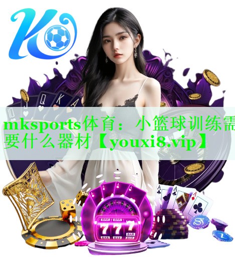 小篮球训练需要什么器材