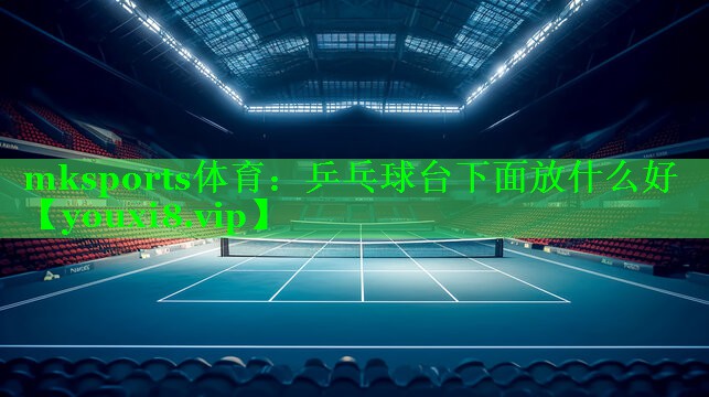 乒乓球台下面放什么好